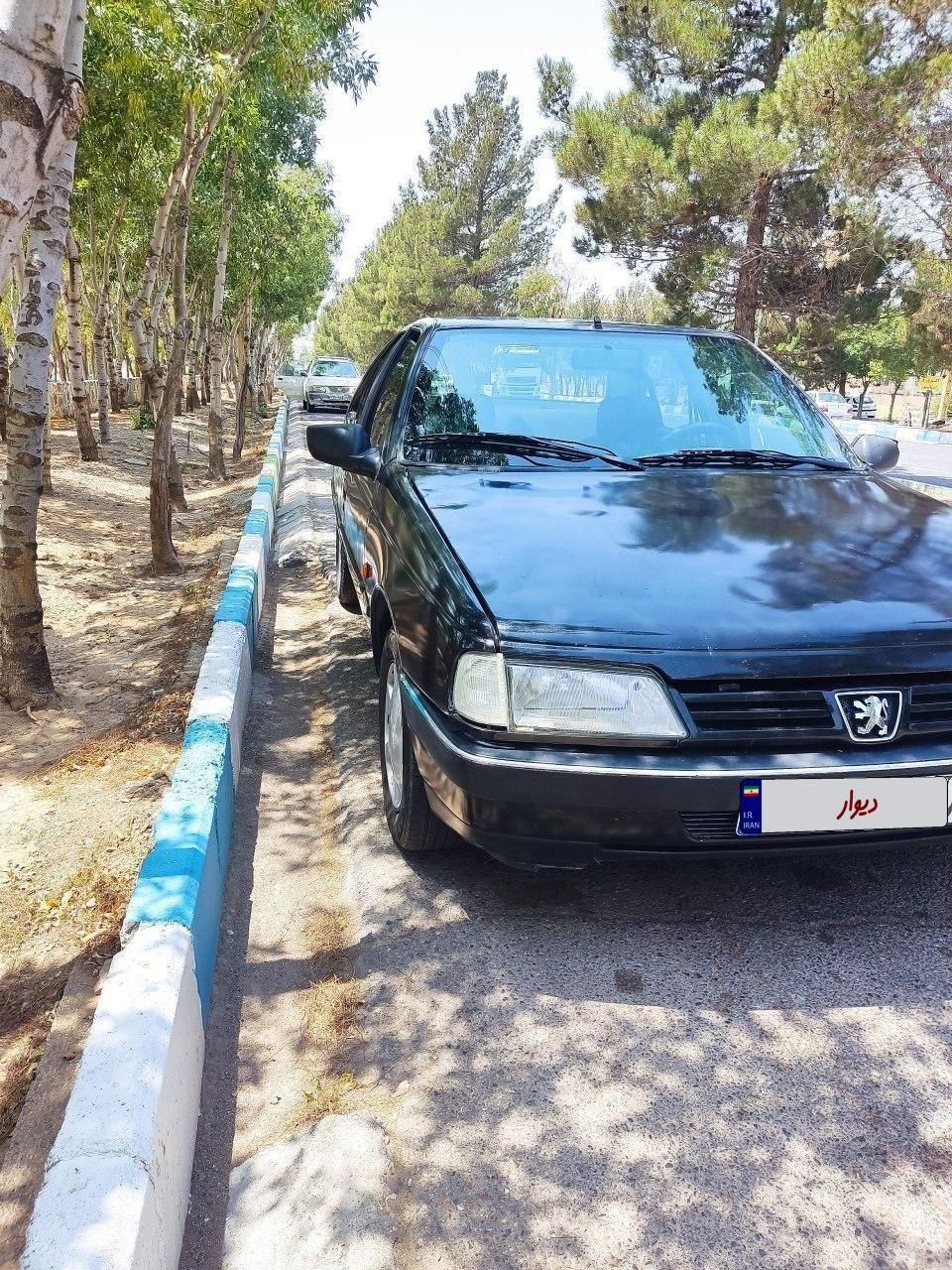 خودرو پژو، 405 آگهی ann_19285494