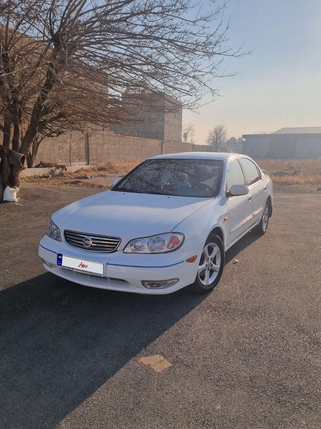 خودرو نیسان، ماکسیما آگهی ann_19285588