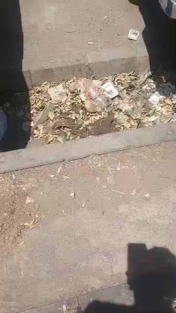 خودرو دوو، سیلو آگهی ann_19285760