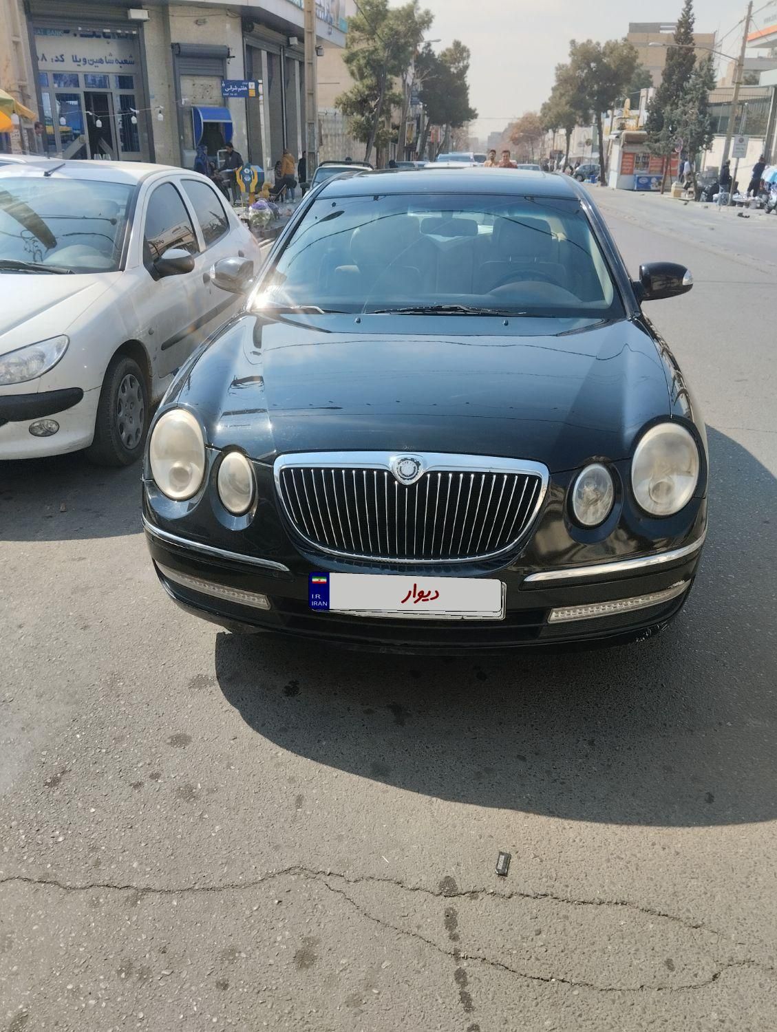 کیا اپیروس سوپر رویال - 2009