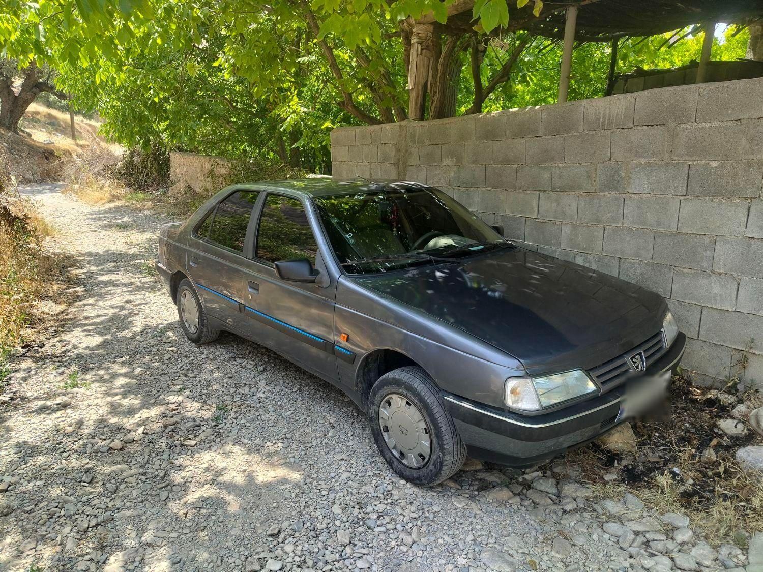 پژو 405 GLX - دوگانه سوز - 1394