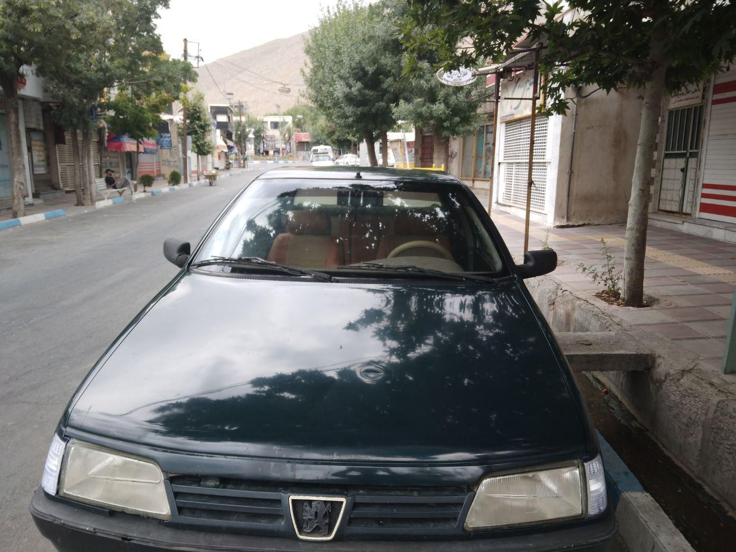 پژو 405 GLI - دوگانه سوز CNG - 1384