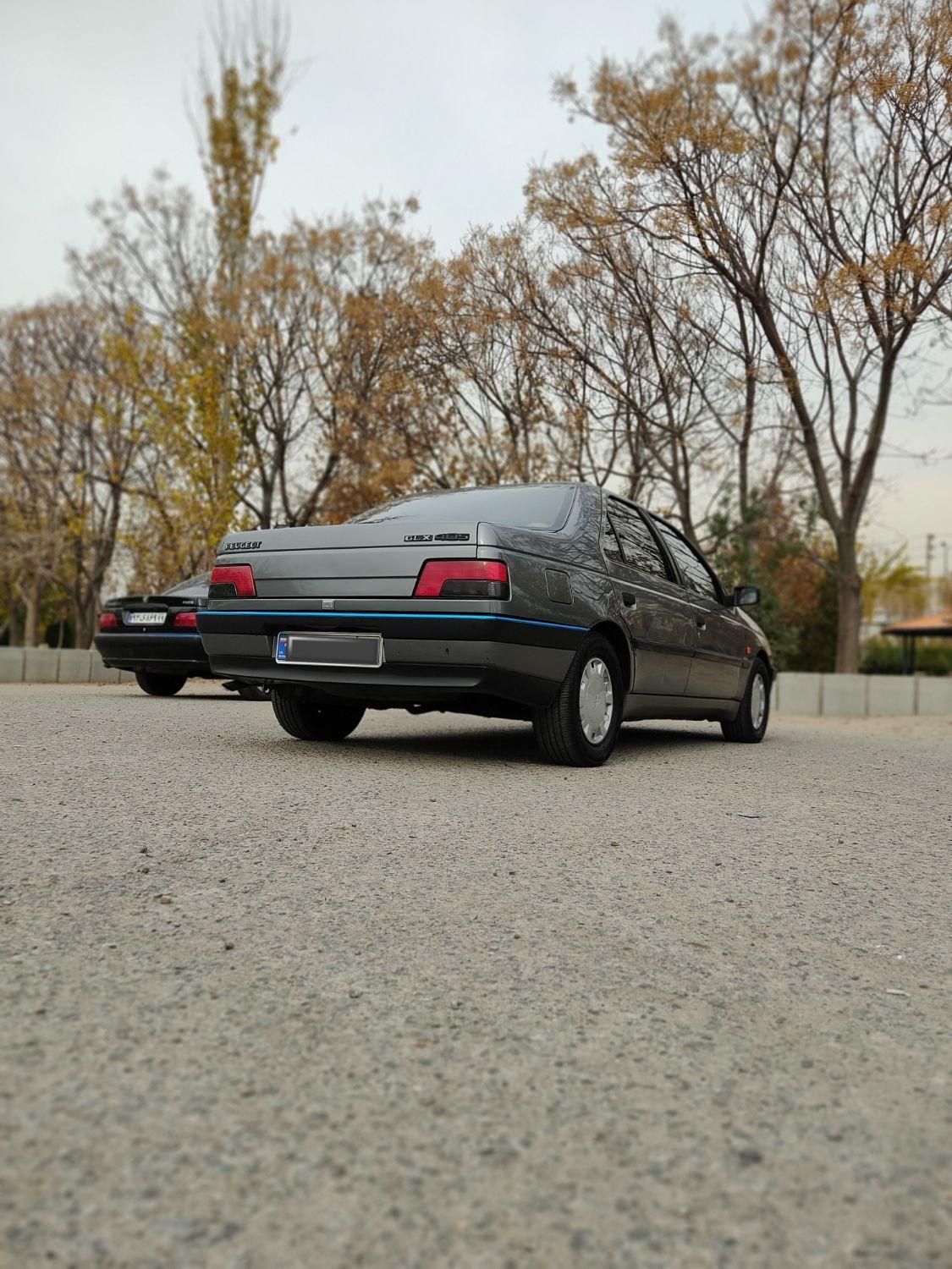 پژو 405 GLX - 1390