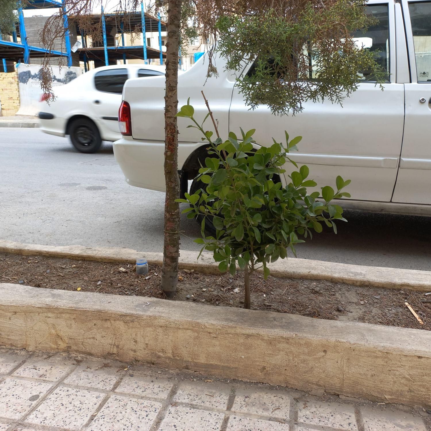 پراید 132 SE - 1395