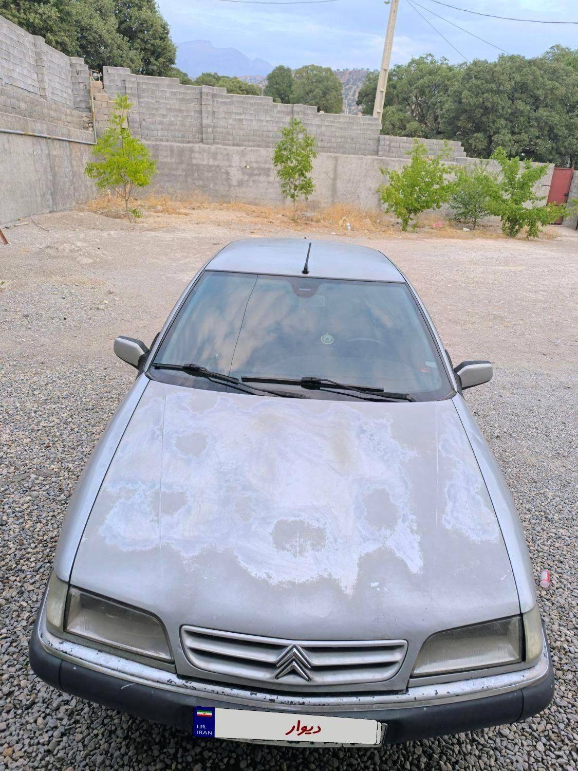 سیتروئن زانتیا X - 1387