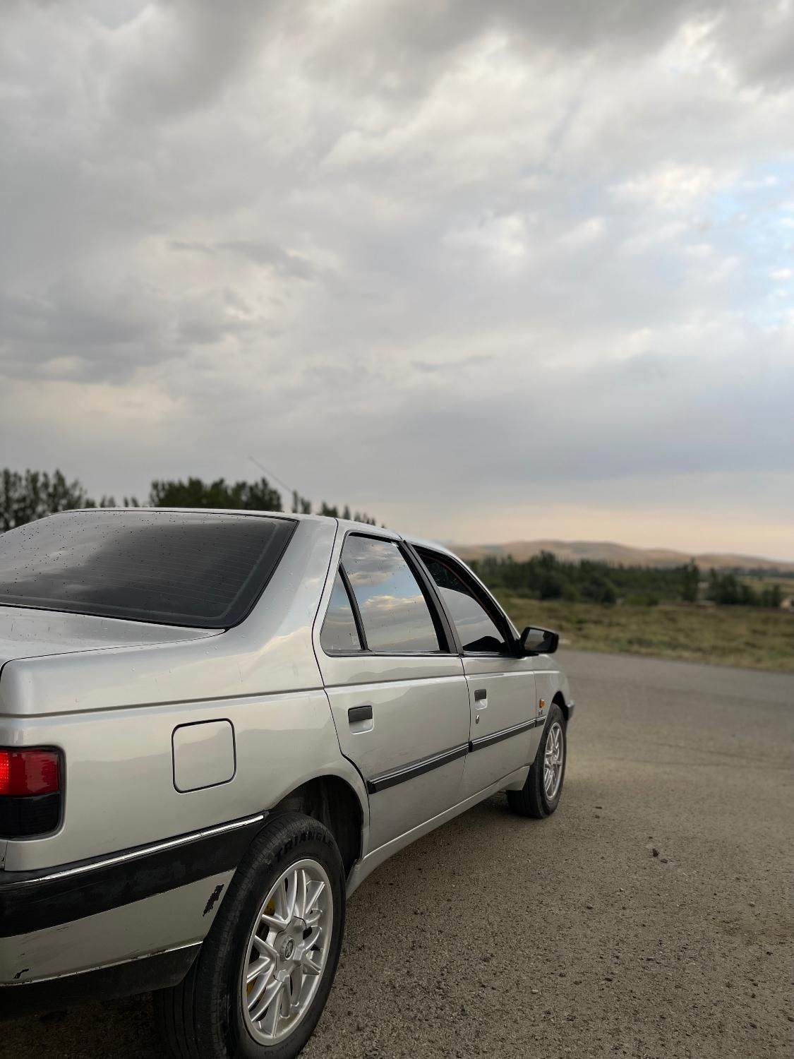 پژو 405 GLX - دوگانه سوز - 1394