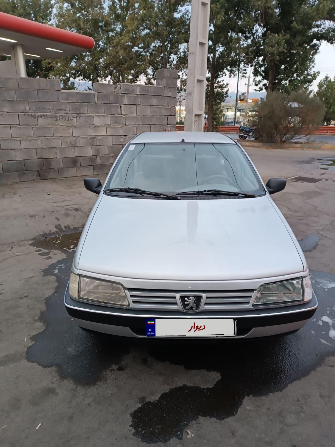 پژو 405 GL - دوگانه سوز CNG - 1369