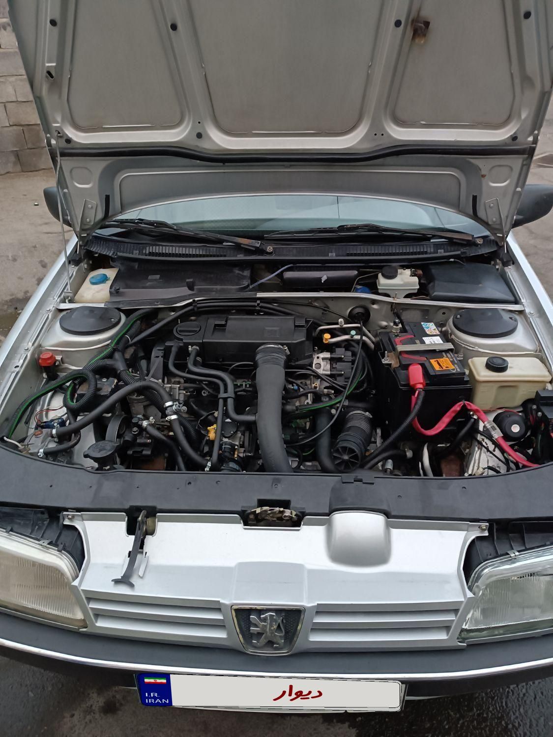 پژو 405 GL - دوگانه سوز CNG - 1369