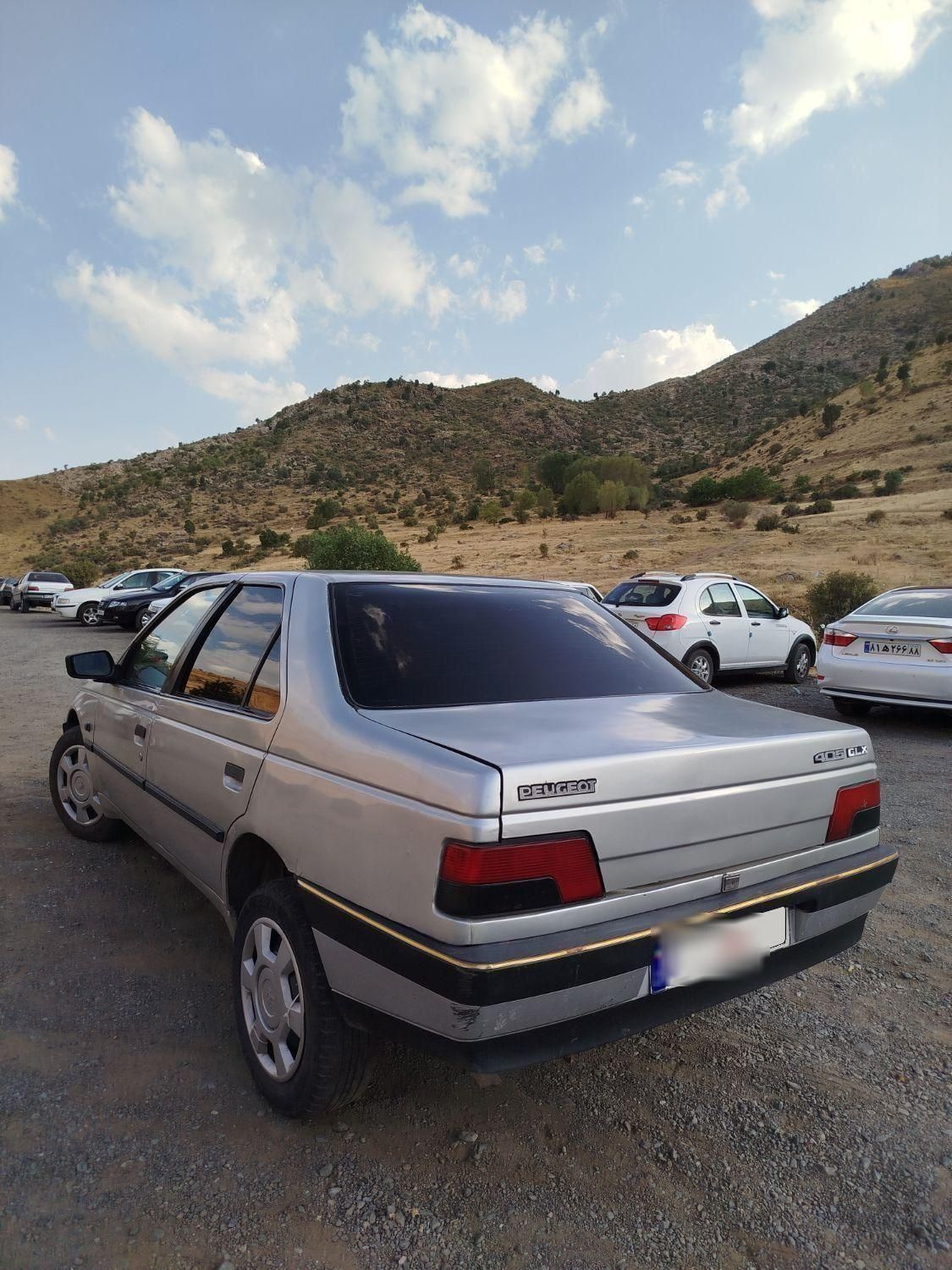 پژو 405 GLX - 1389