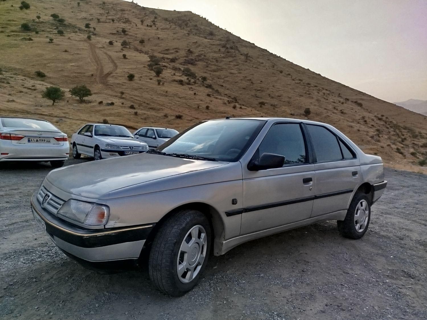 پژو 405 GLX - 1389