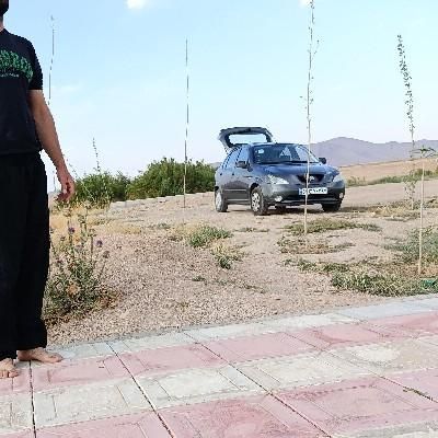 خودرو تیبا، 2 آگهی ann_19298635