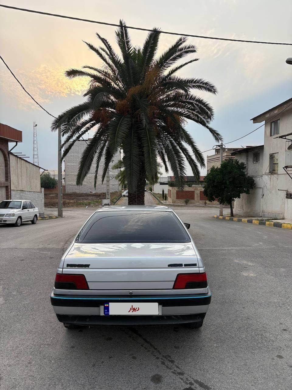 پژو 405 GLX - دوگانه سوز - 1396