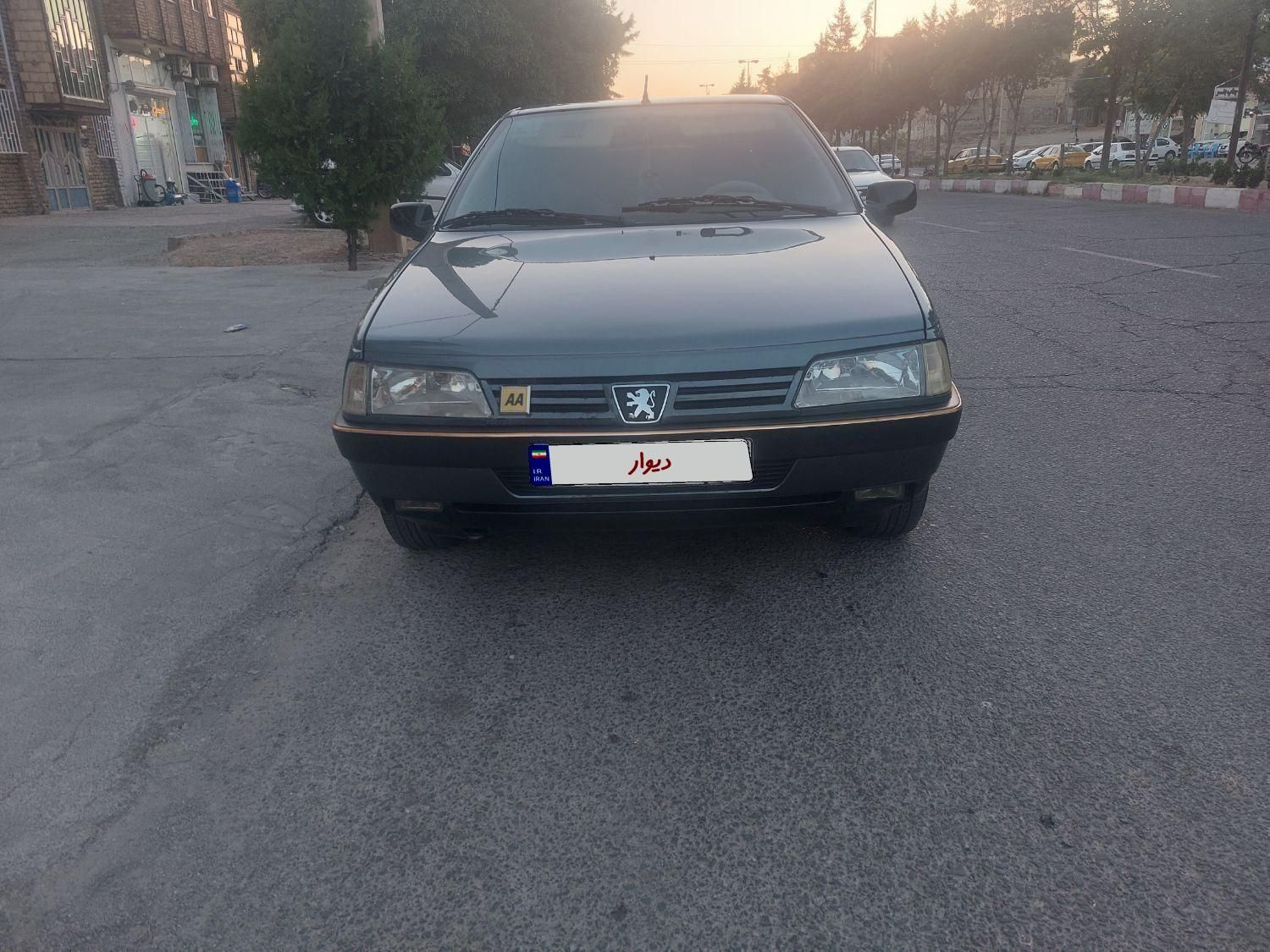 پژو 405 GL - دوگانه سوز CNG - 1369