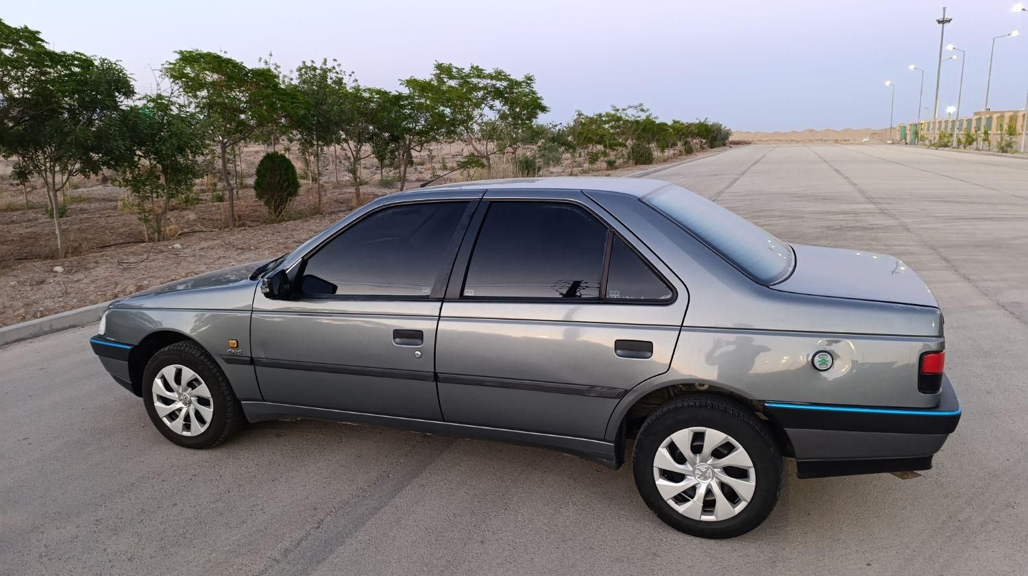 پژو 405 GLX - دوگانه سوز - 1389