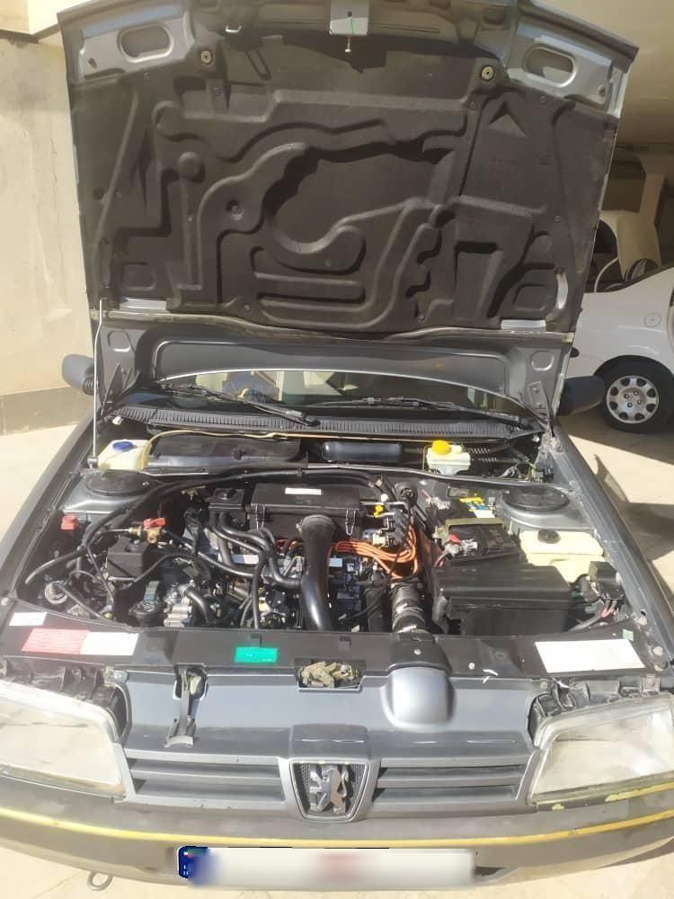 پژو 405 GLX - دوگانه سوز - 1389