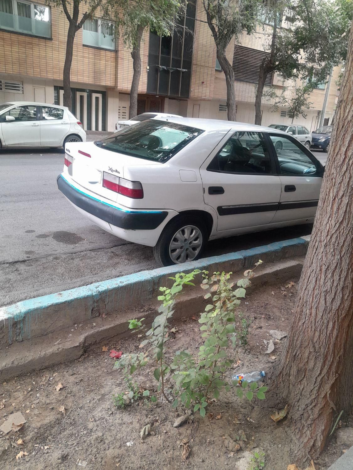 سیتروئن زانتیا X - 1387
