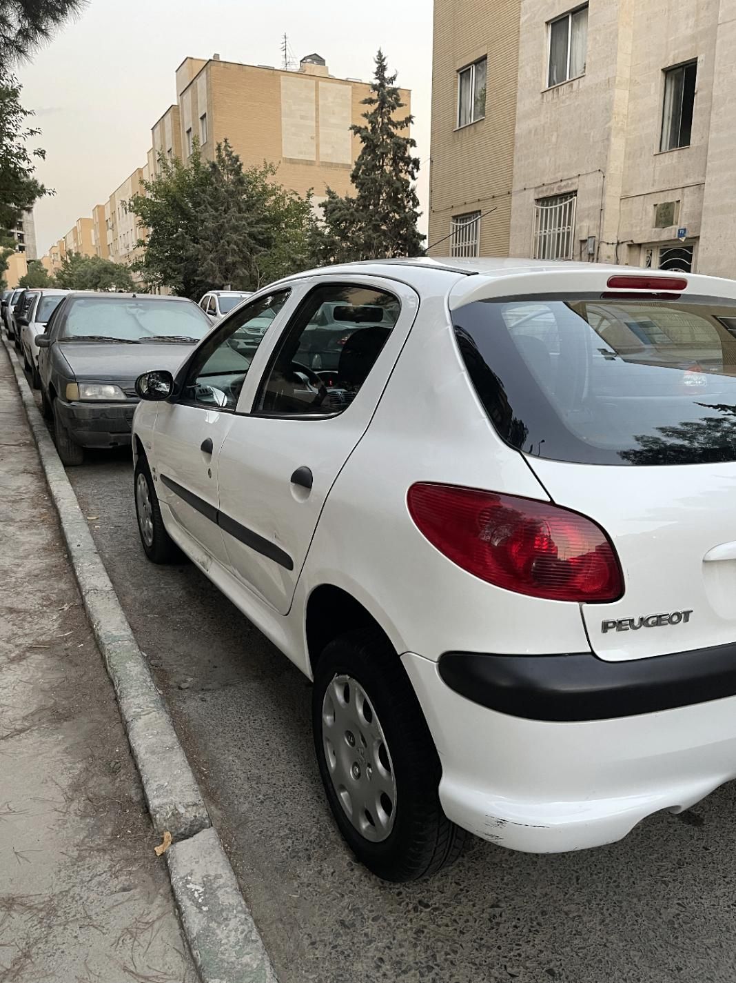 پژو 206 تیپ 2 - 1399