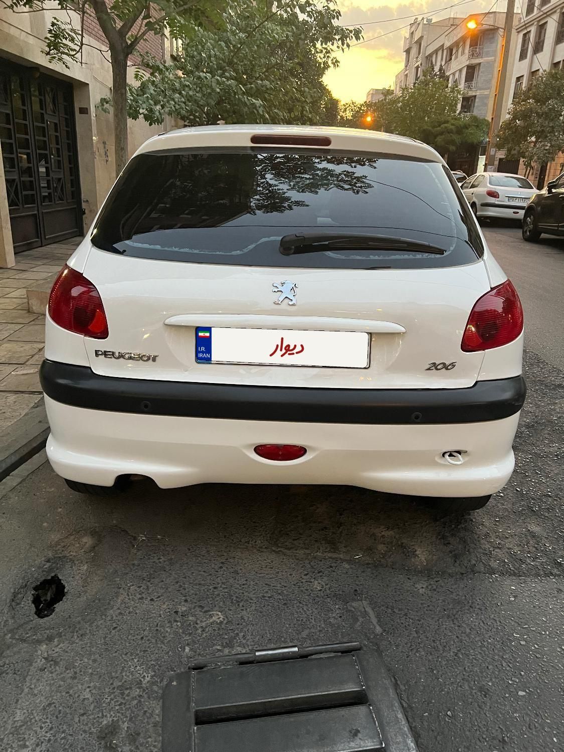 پژو 206 تیپ 5 - 1395