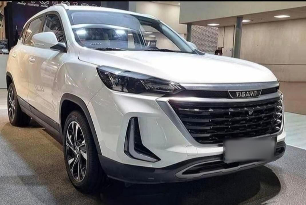 تیگارد X35 ساده - 1403