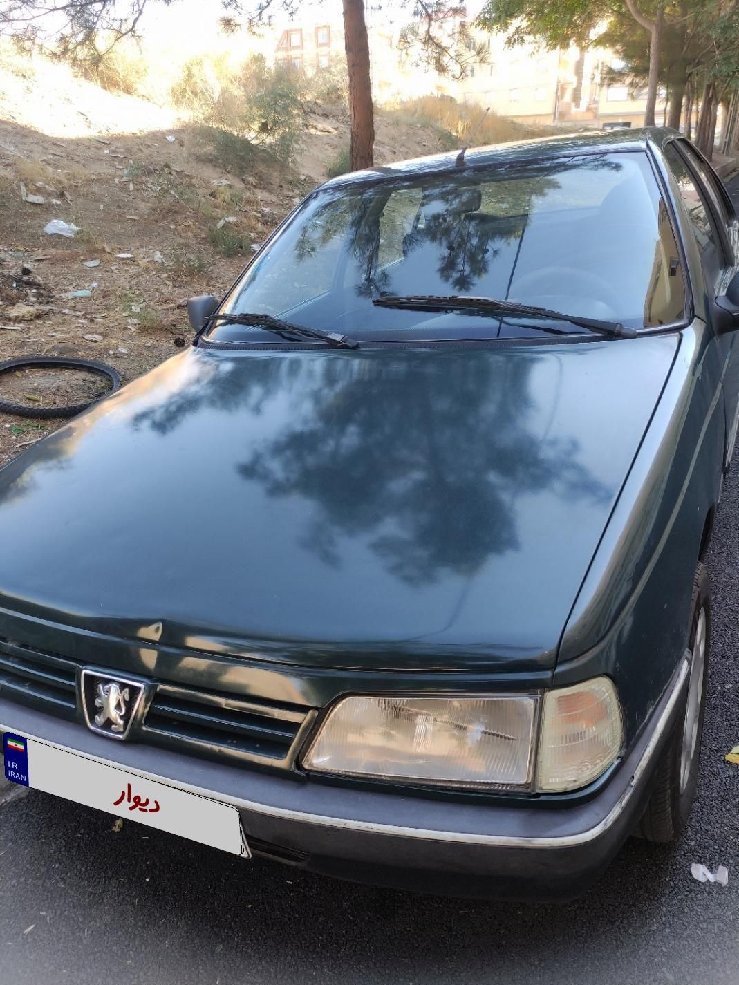پژو آردی دوگانه سوز CNG - 1382