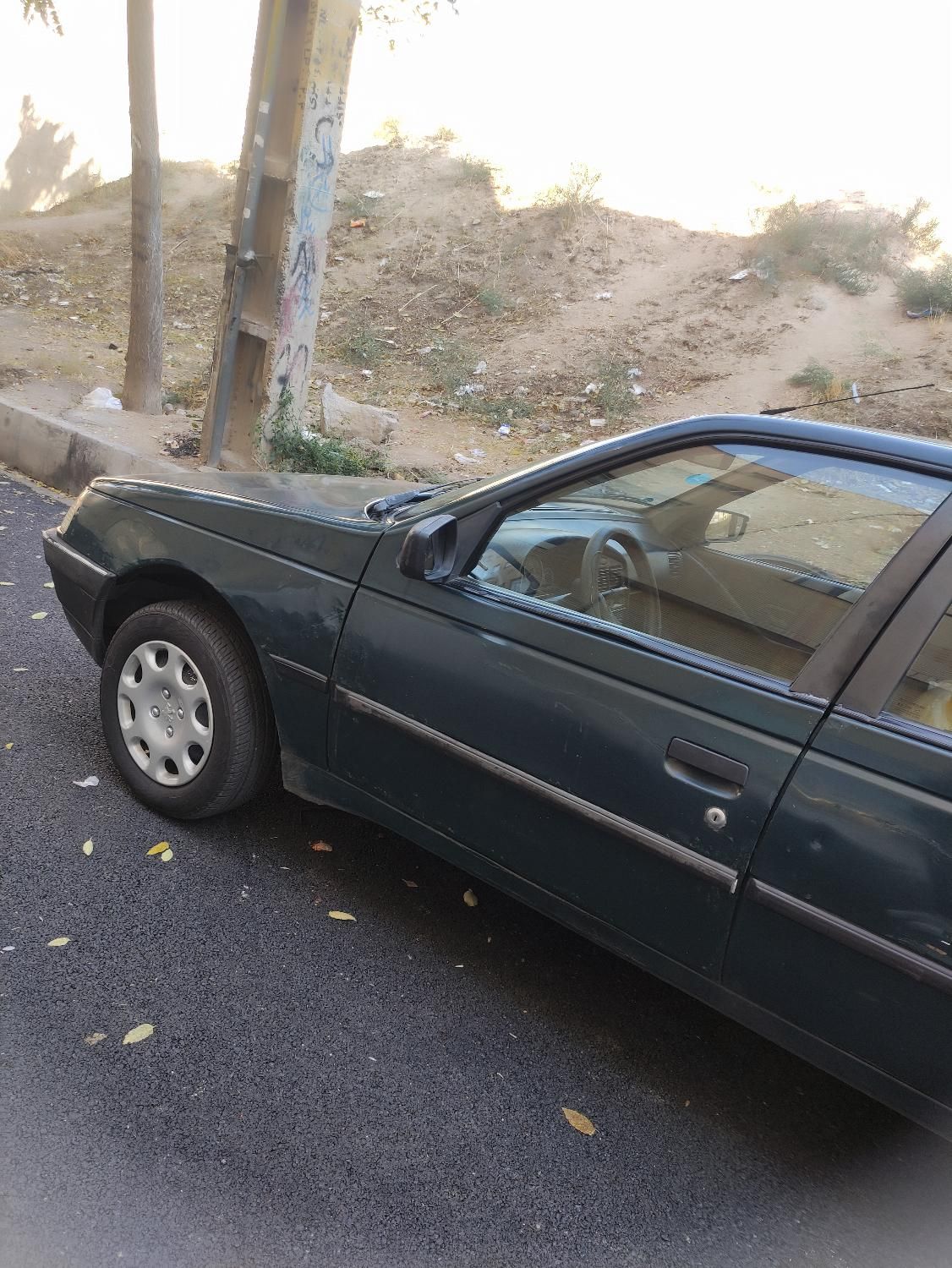 پژو آردی دوگانه سوز CNG - 1382