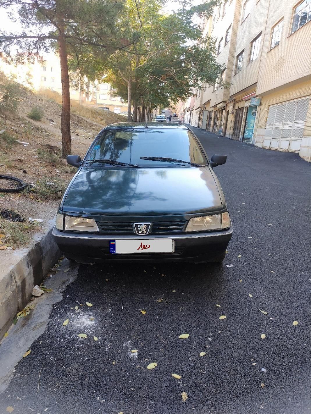 پژو آردی دوگانه سوز CNG - 1382