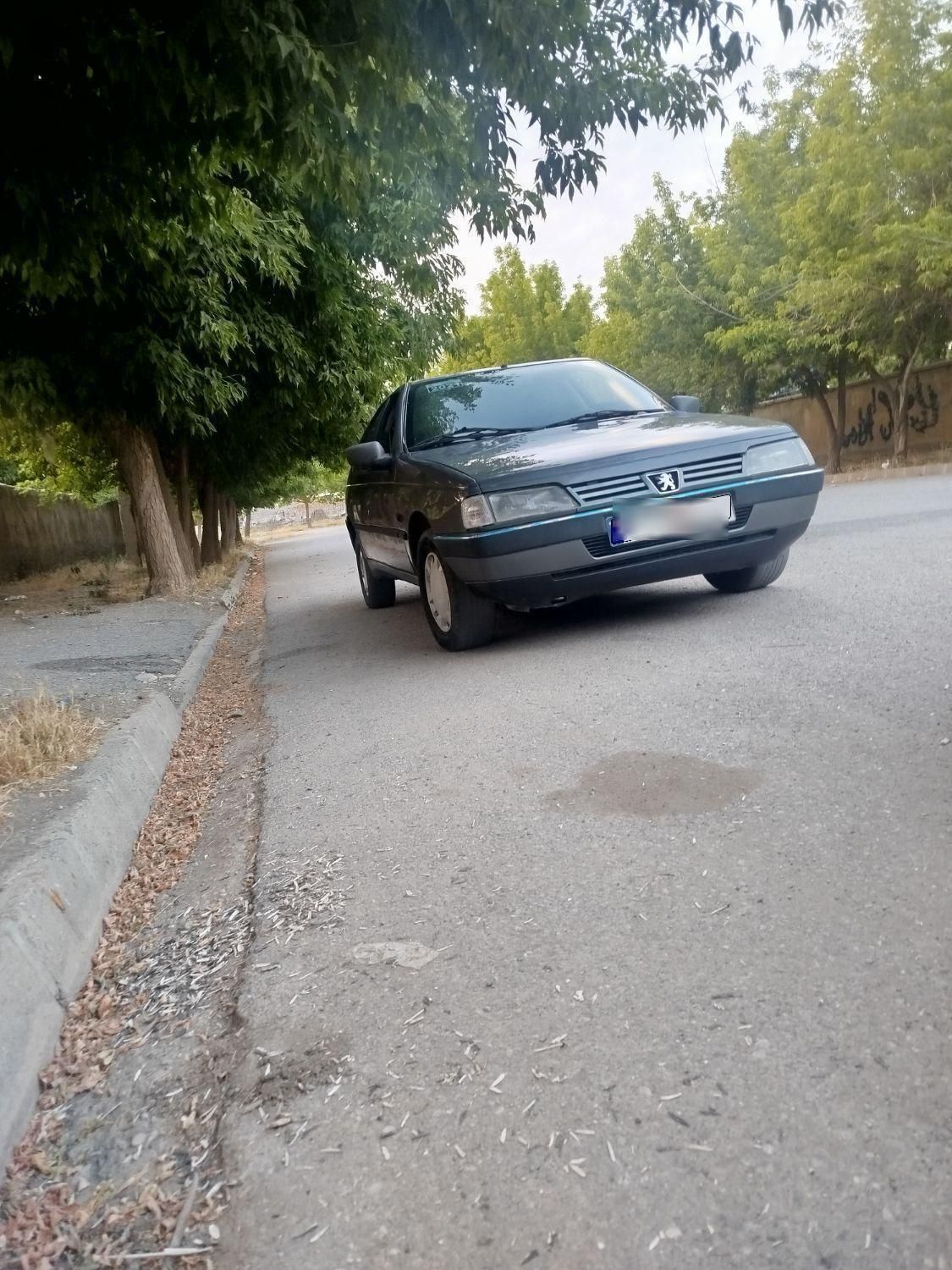 پژو 405 GLX - دوگانه سوز - 1387