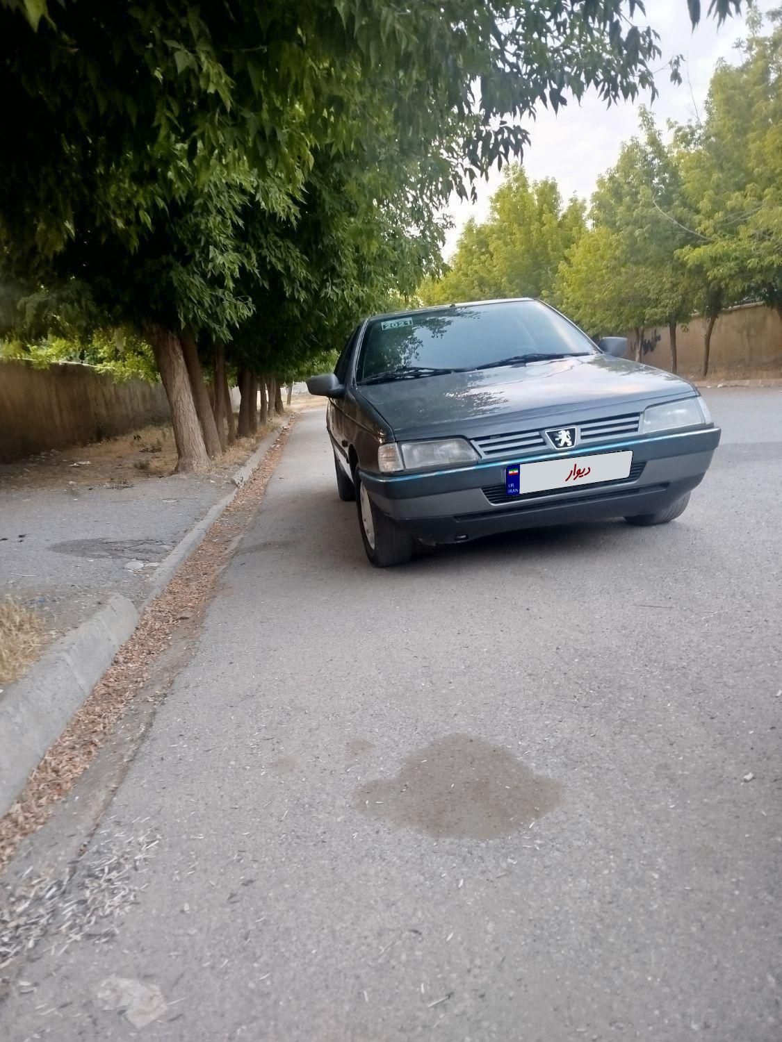 پژو 405 GLX - دوگانه سوز - 1387