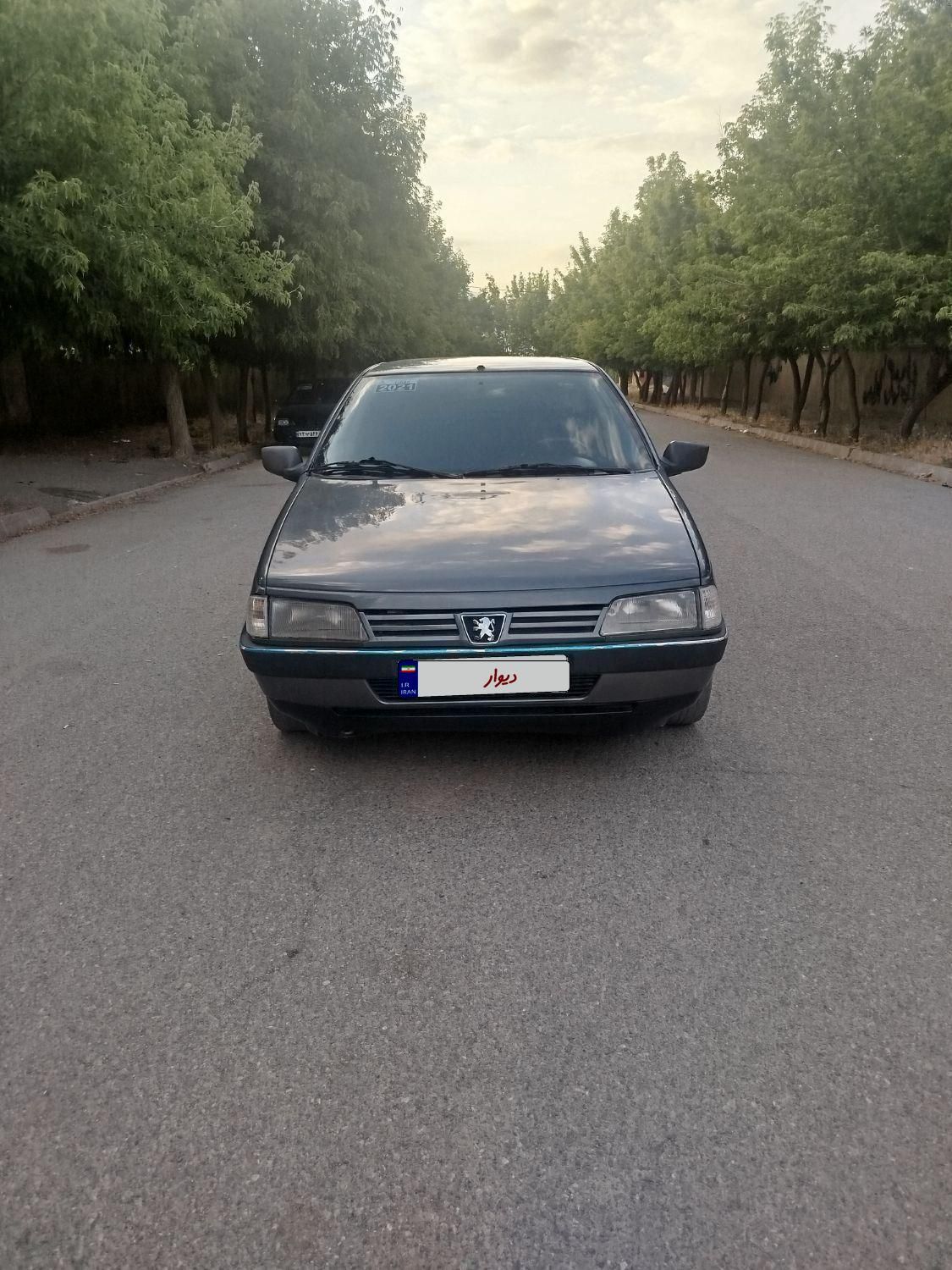 پژو 405 GLX - دوگانه سوز - 1387