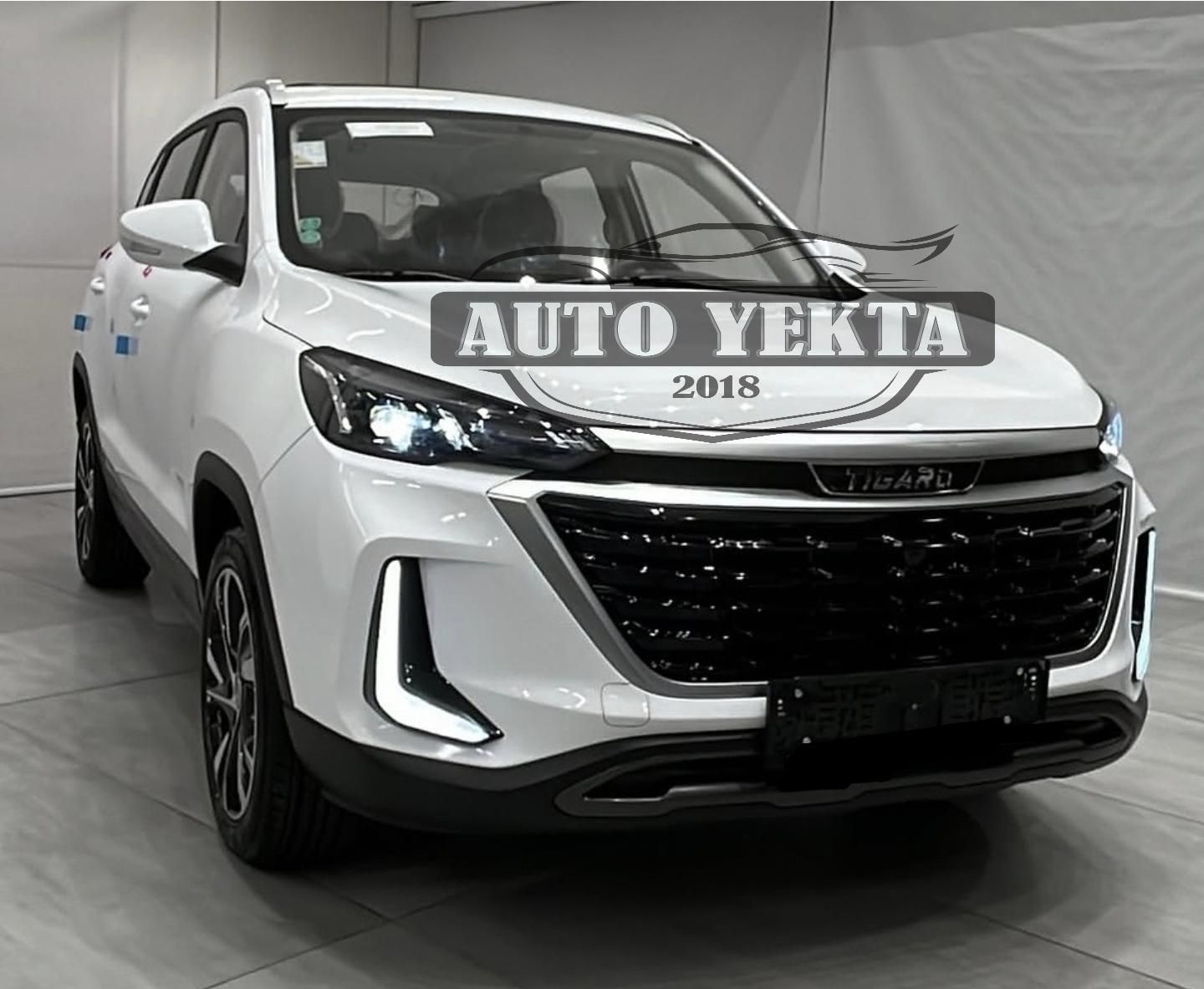 تیگارد X35 ساده - 1404