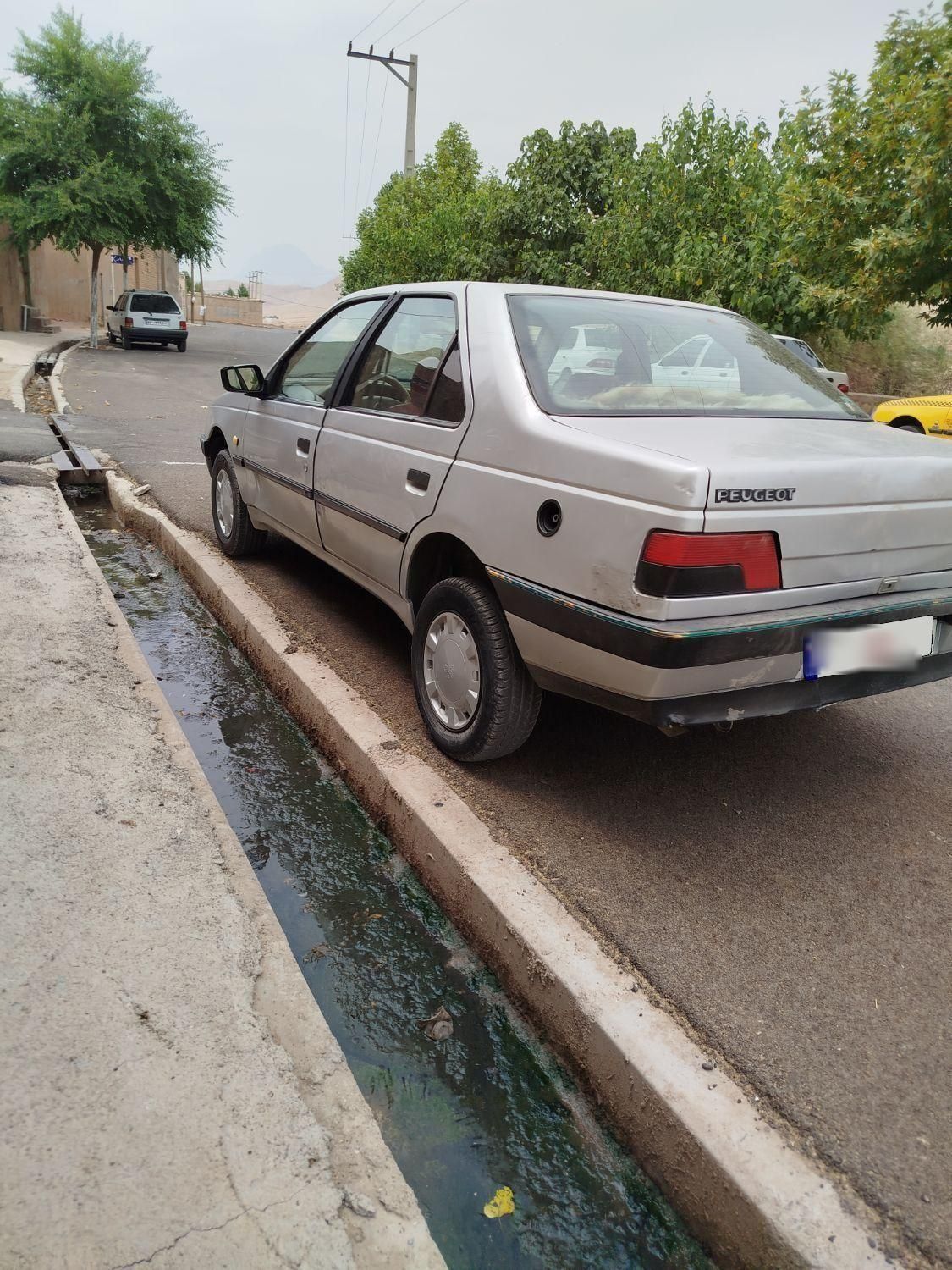 پژو 405 GLX - دوگانه سوز - 1391