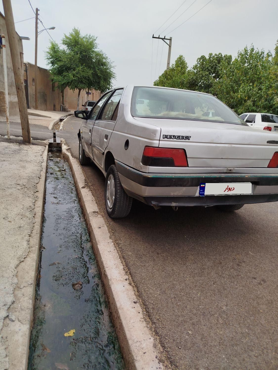 پژو 405 GLX - دوگانه سوز - 1391