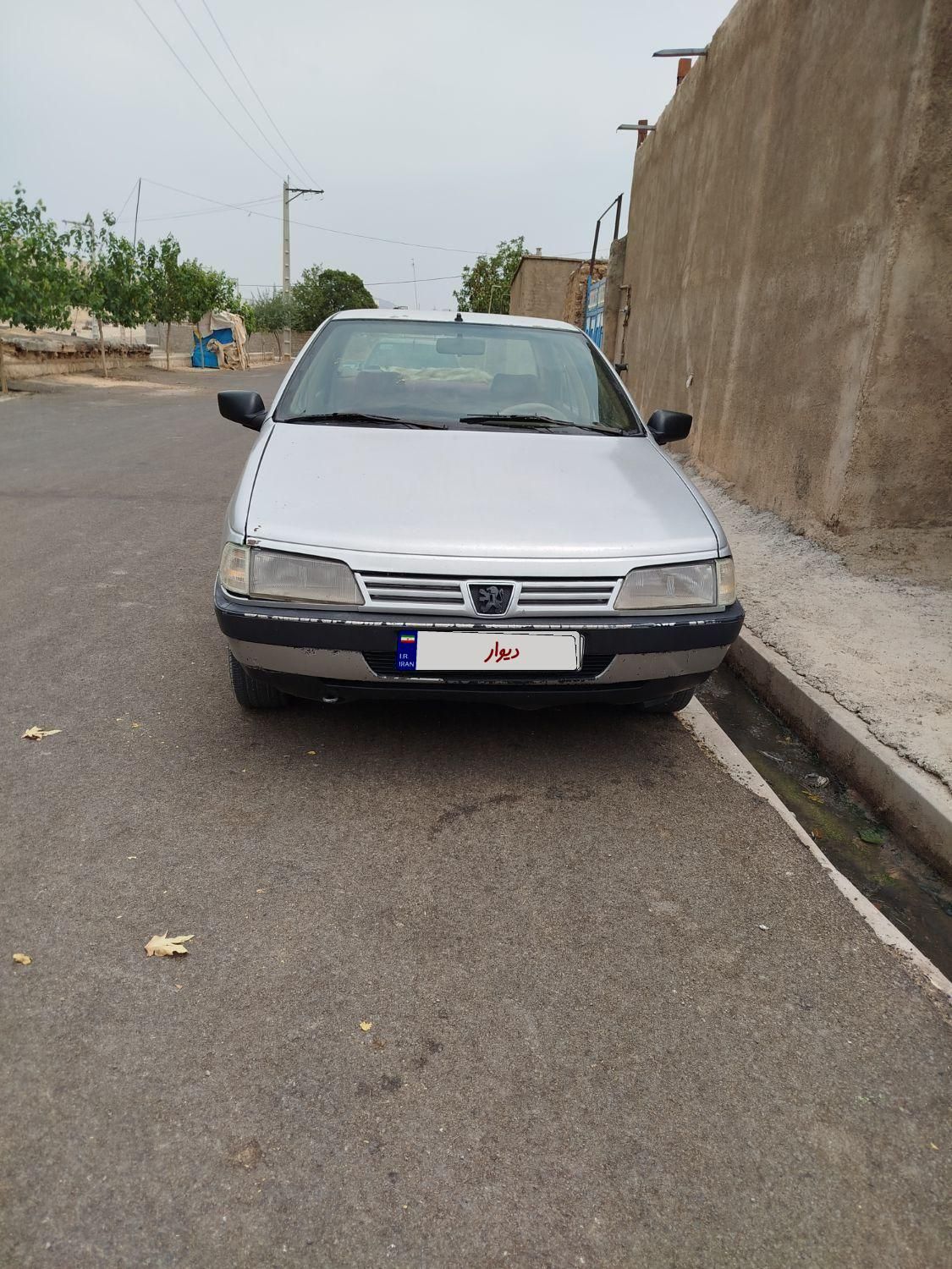 پژو 405 GLX - دوگانه سوز - 1391