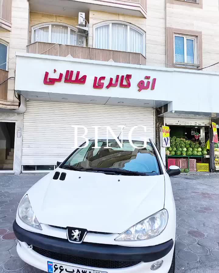 خودرو پژو، ۲۰۶ صندوق دار آگهی ann_19317644