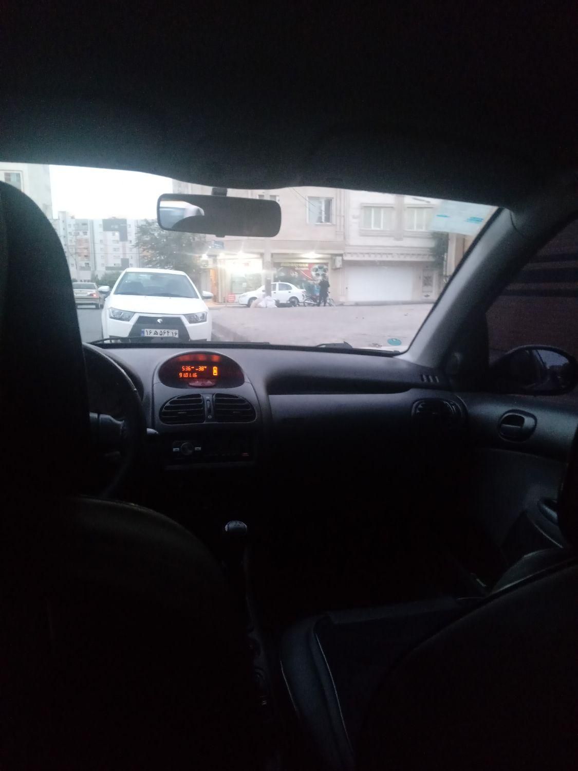 پژو 206 تیپ 5 - 1393