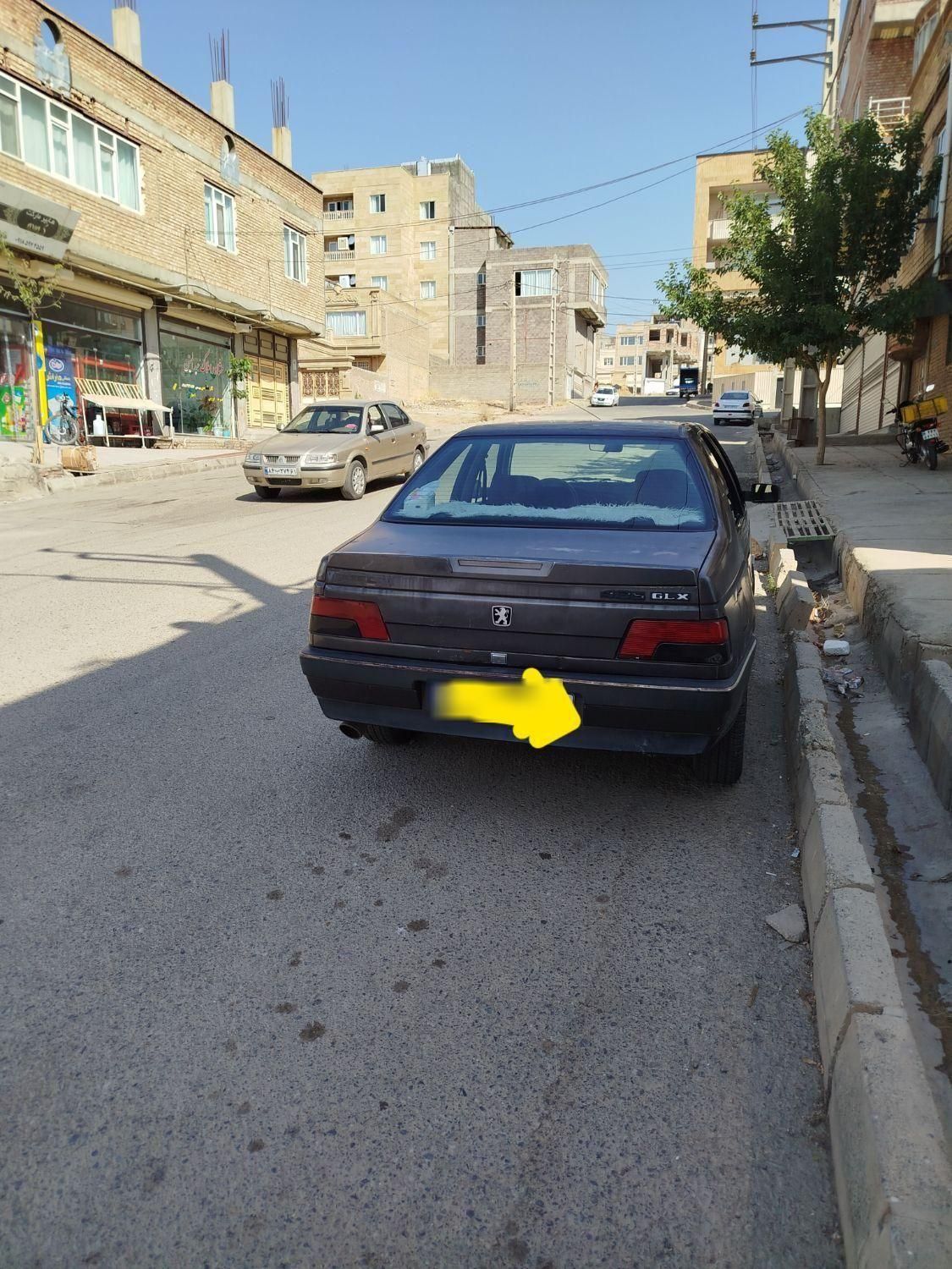 پژو روآ دوگانه سوز - 1386