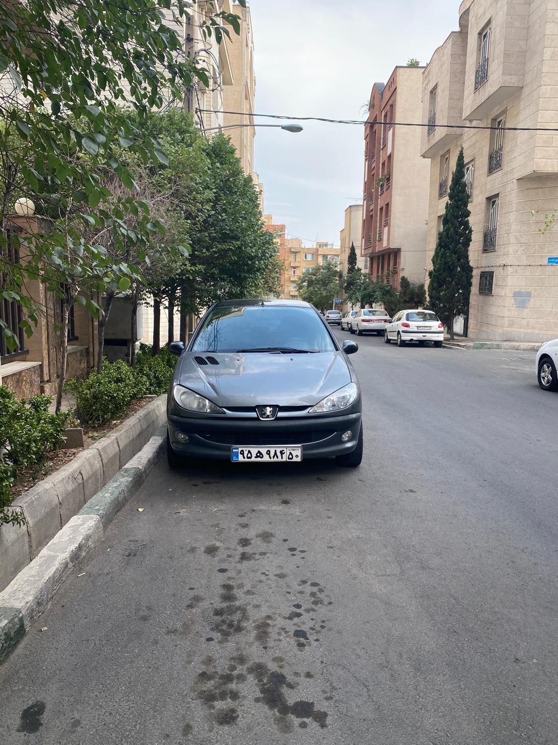 پژو 206 تیپ 3 - 1386