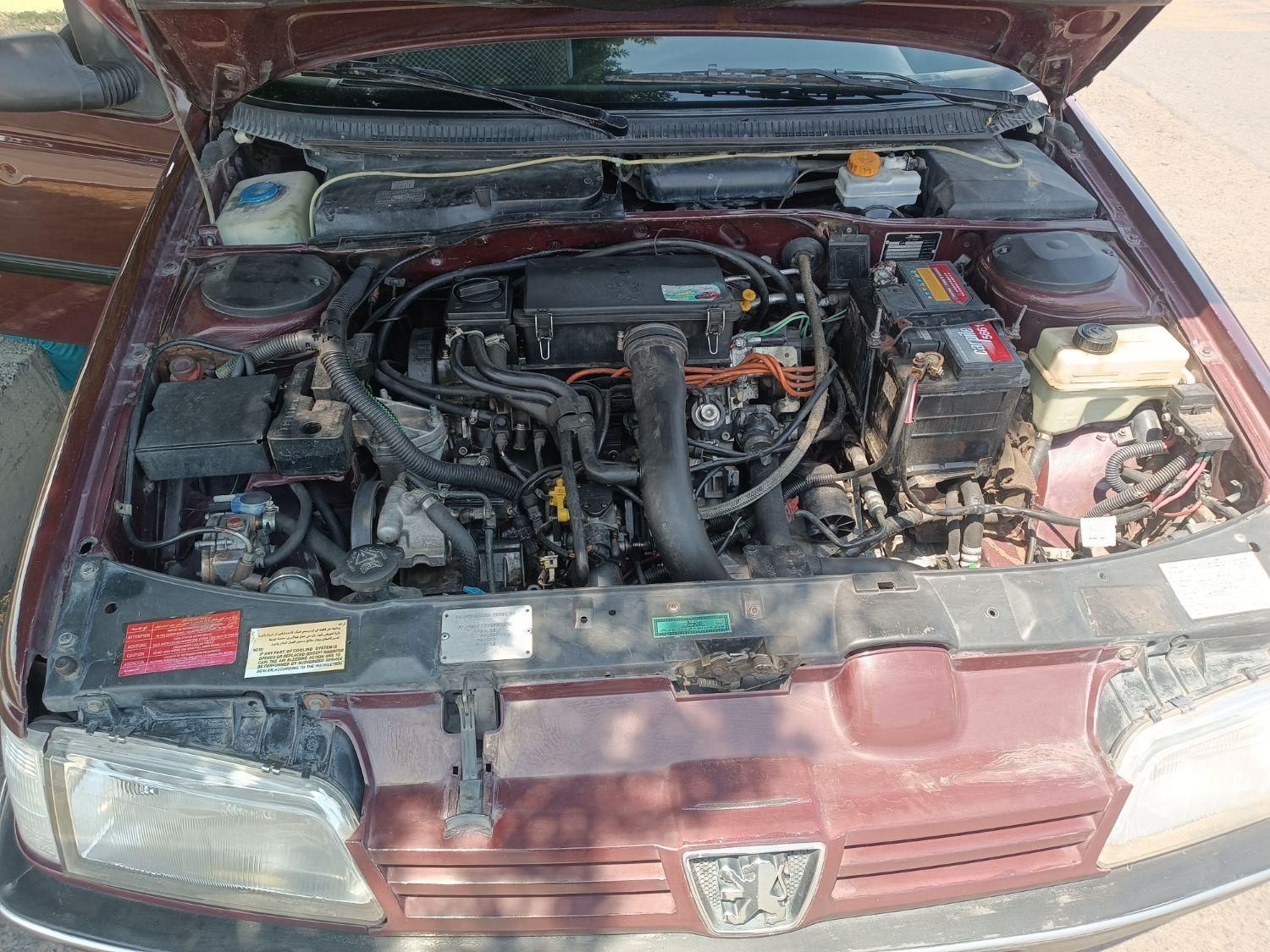 پژو 405 GLI - دوگانه سوز CNG - 1383
