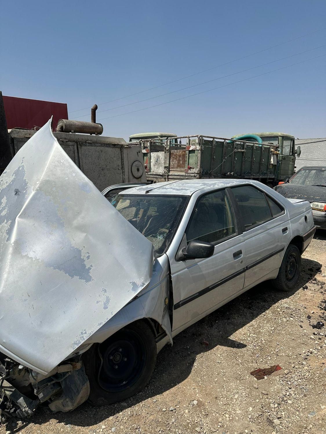 پژو 405 GLX - دوگانه سوز - 1391