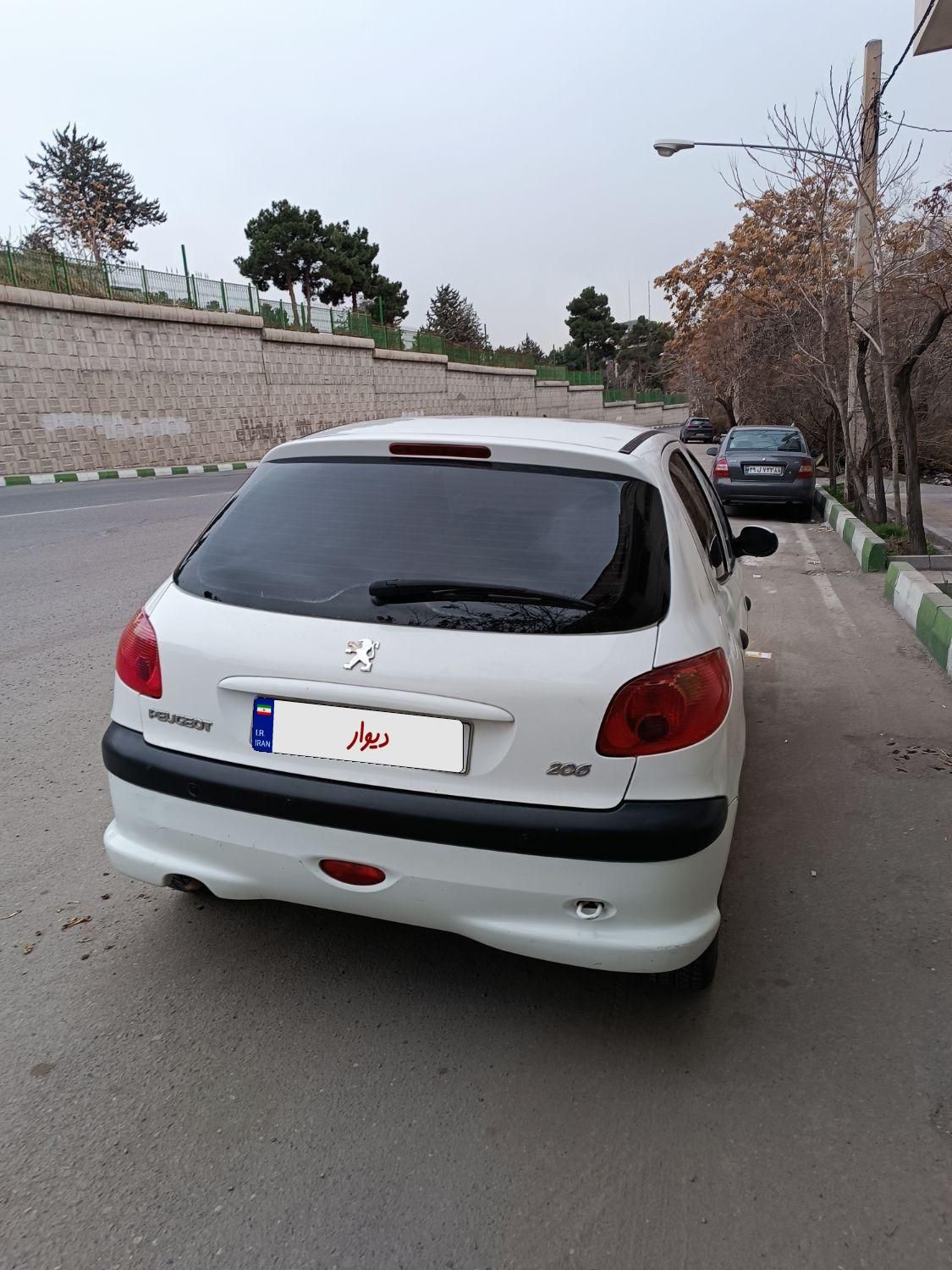 پژو 206 تیپ 5 - 1394