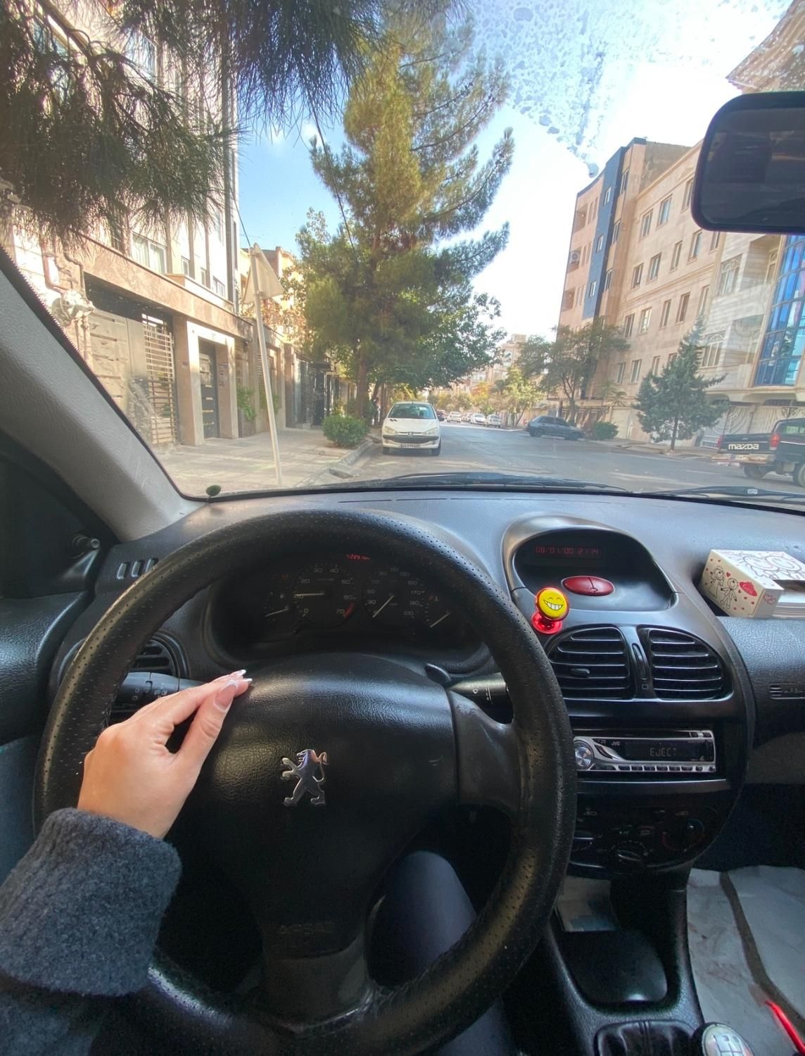 پژو 206 تیپ 2 - 1391