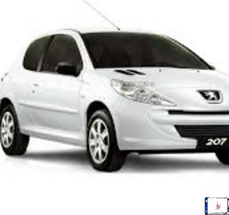 خودرو پژو، 207 آگهی ann_19329860