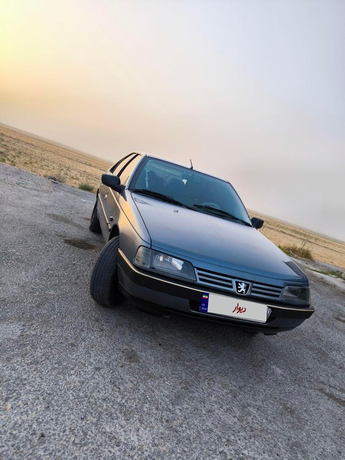 پژو 405 GLX - دوگانه سوز - 1395