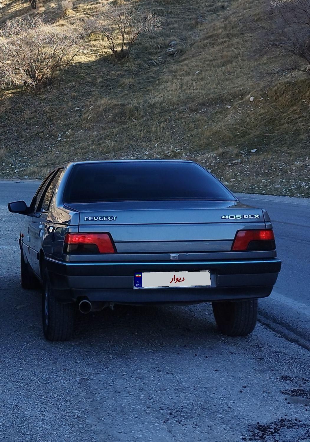 پژو 405 GLX - دوگانه سوز - 1390