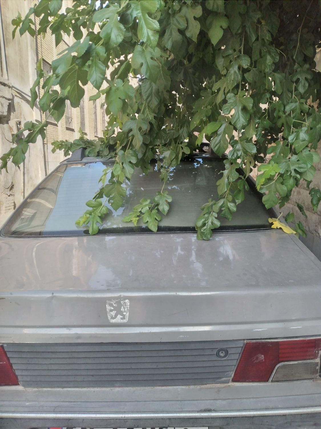 پژو آردی RDI - 1382