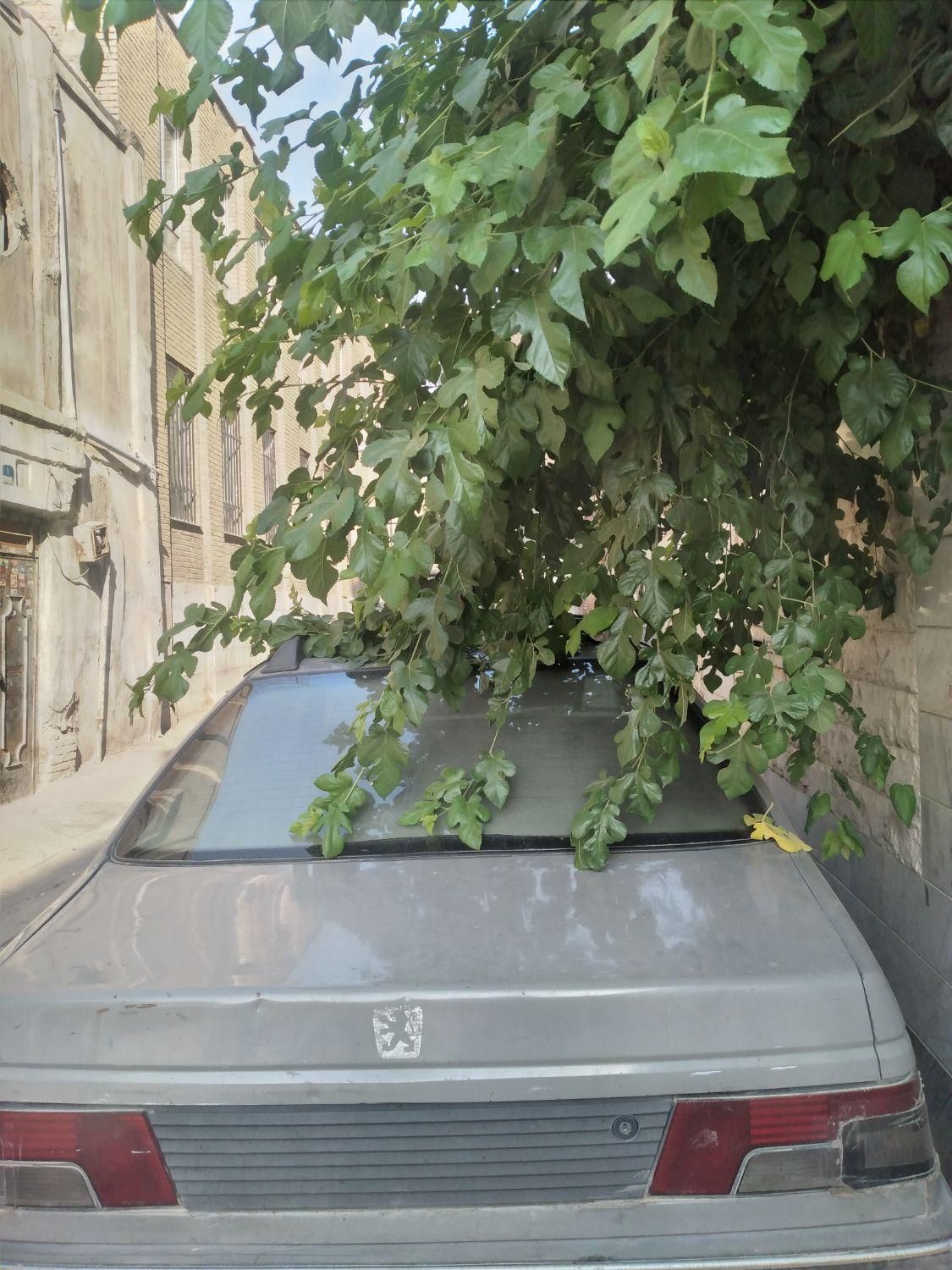 پژو آردی RDI - 1382