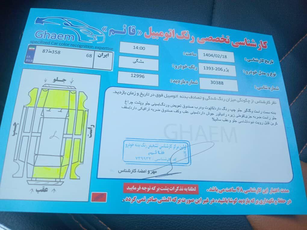 پژو 206 تیپ 5 - 1393