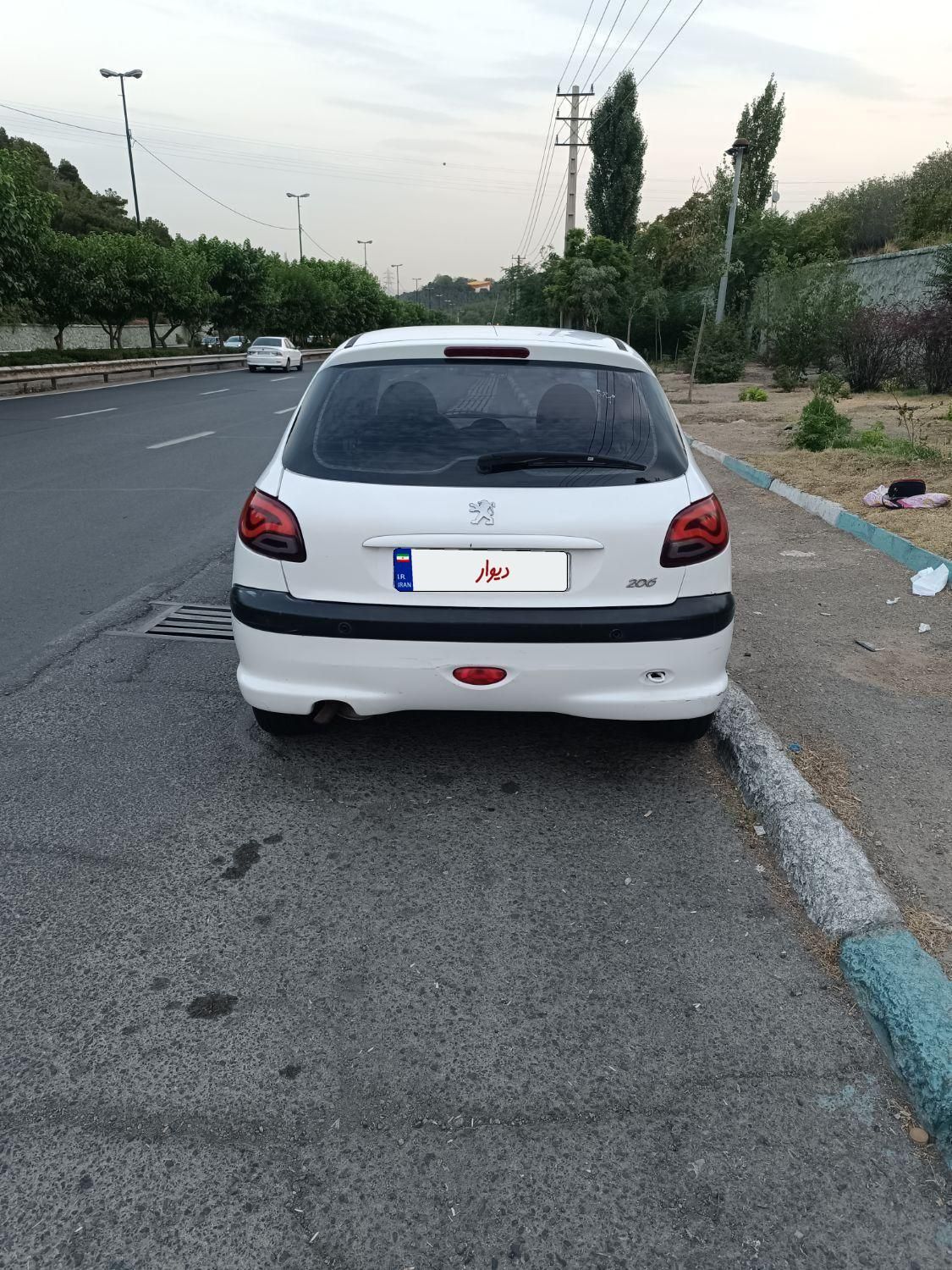 پژو 206 تیپ 5 - 1394