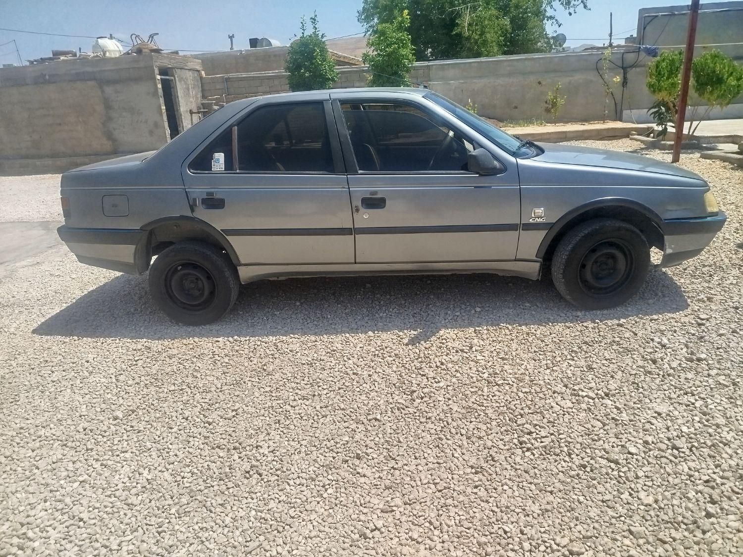 پژو 405 GLX - دوگانه سوز - 1391