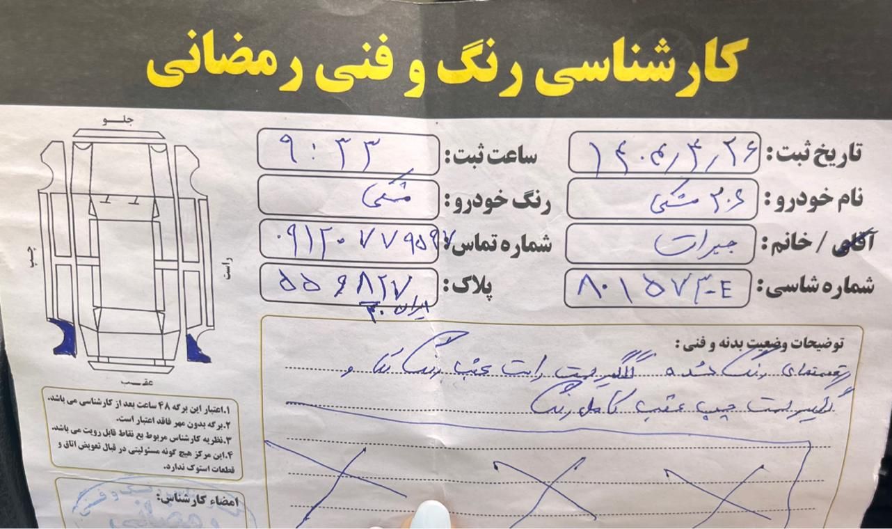 پژو 206 تیپ 2 - 1395